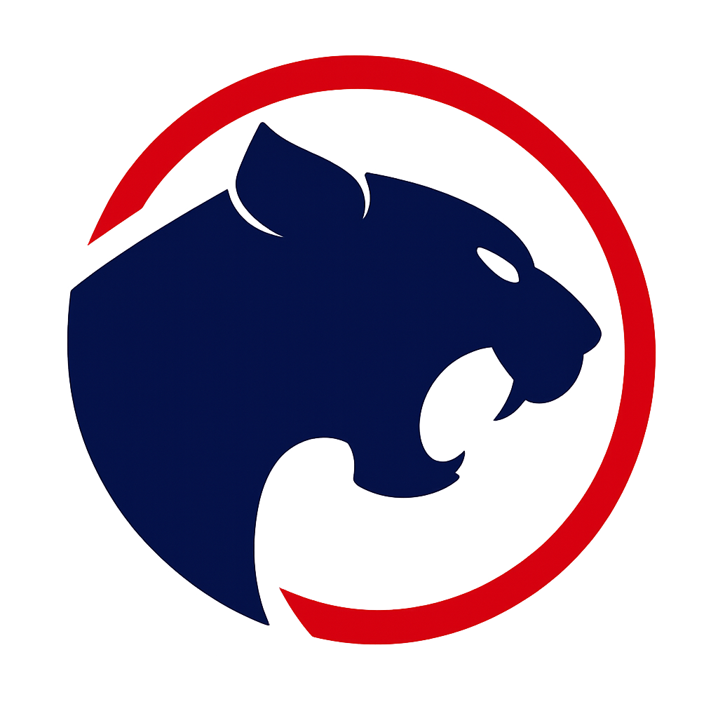 Jaguar Connect